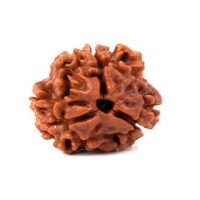 RUDRAKSHA